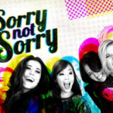 The official logo for Sorry Not Sorry