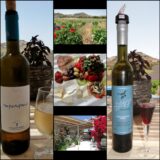 winery mykonos
