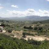 #7 -Lafkiotis valley