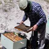 Beekeeper Mr. George Kouzsiotisk
