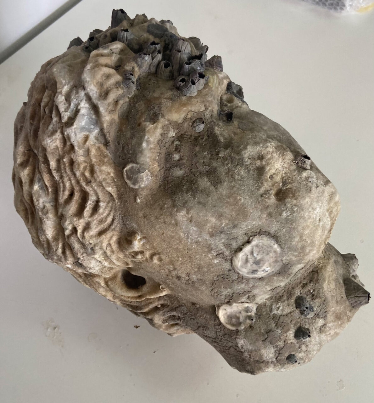 Head of a Roman-era statue found in the sea near Preveza