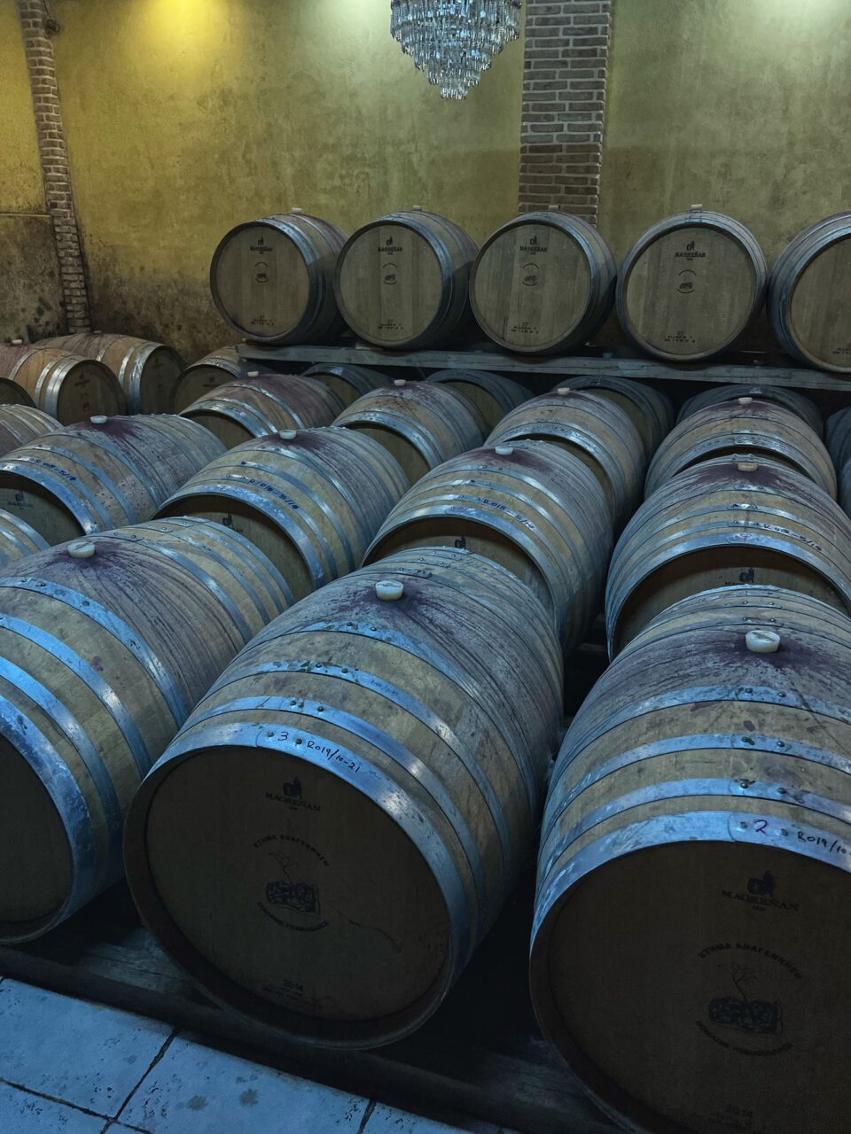 Wine & Olive oil Tasting organized by the Hermes Expo at Ktima Anagennisis, Nemea