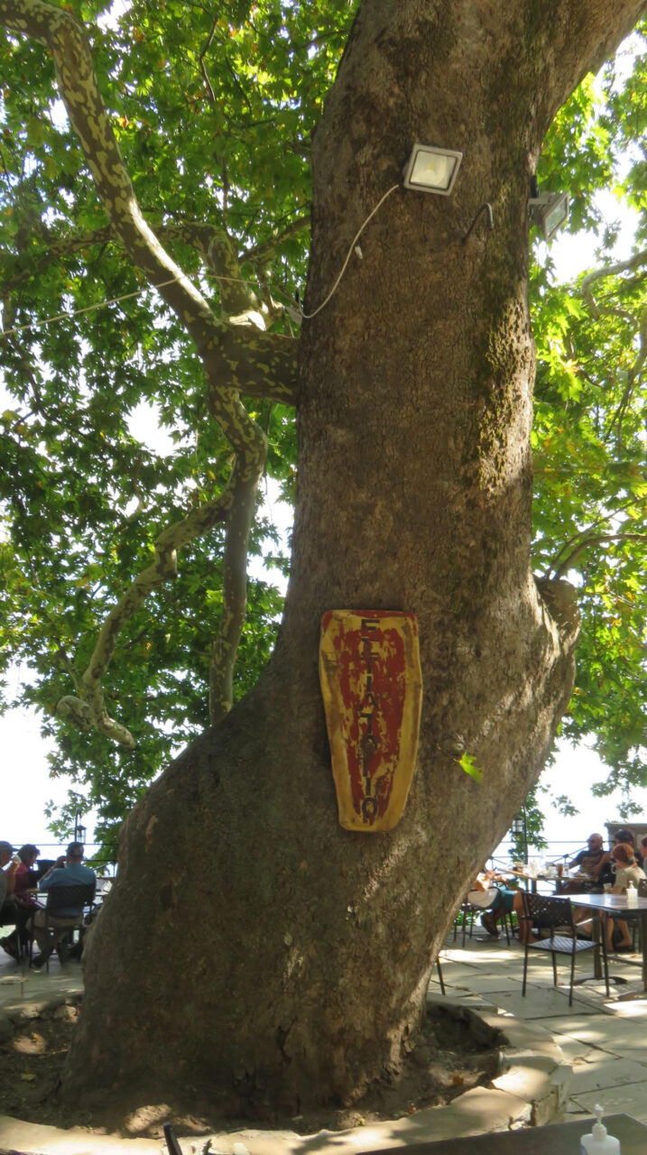 Memories of Greece: Theofilos of Makrinitsa