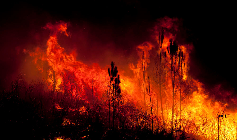 Tsivicos Opens AHEPA Emergency Fund for Southern California Wildfire Relief