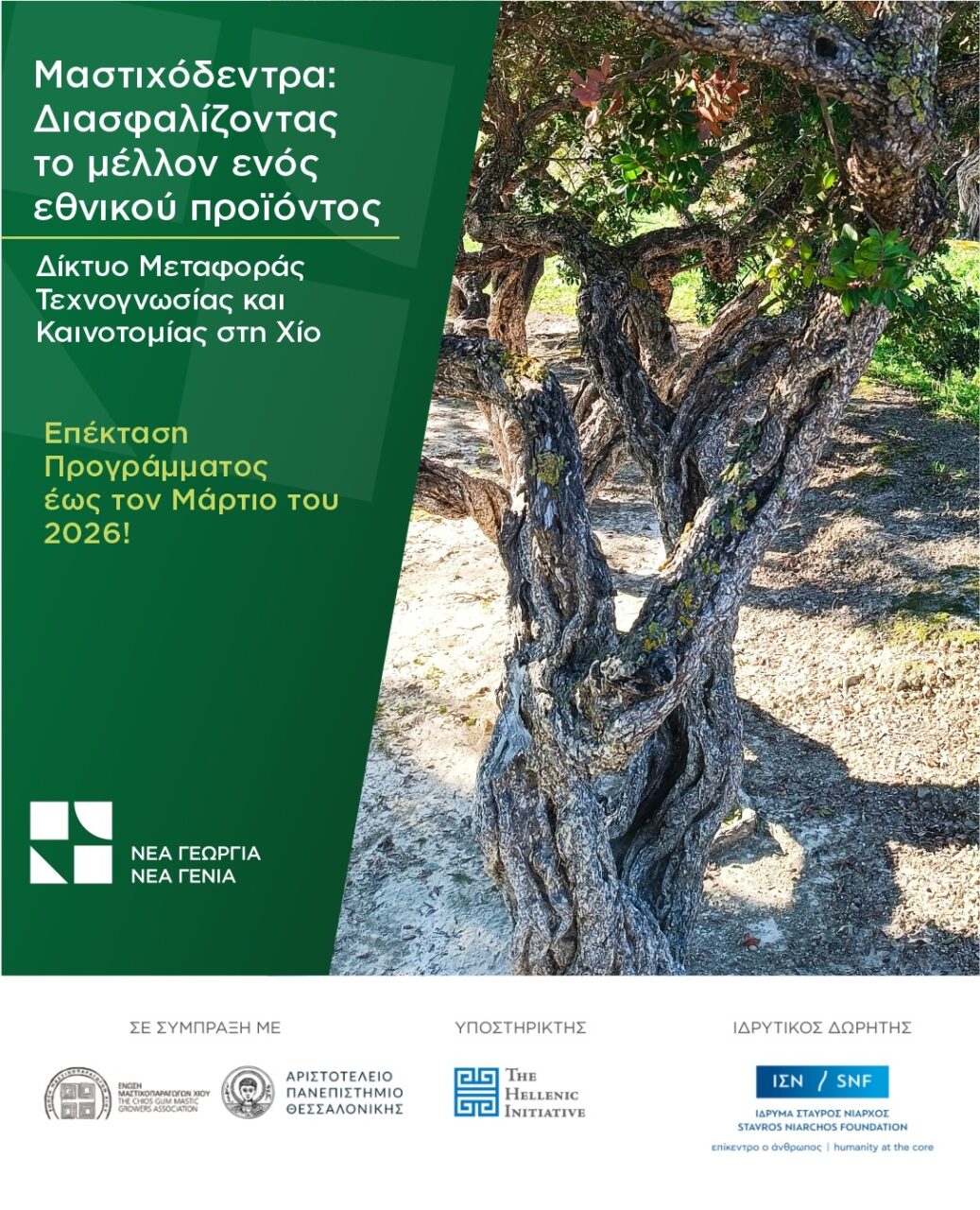 Νέα Γεωργία Νέα Γενιά: Επέκταση του προγράμματος "Μαστιχόδεντρα: Διασφαλίζοντας το μέλλον ενός εθνικού προϊόντος"