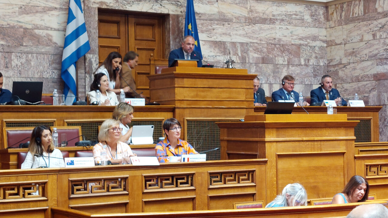 Κοινή συνεδρίαση Επιτροπής Ελληνισμού της Διασποράς με την Παγκόσμια Διακοινοβουλευτική Ένωση Ελληνισμού υπό την προεδρία του Φ. Φόρτωμα