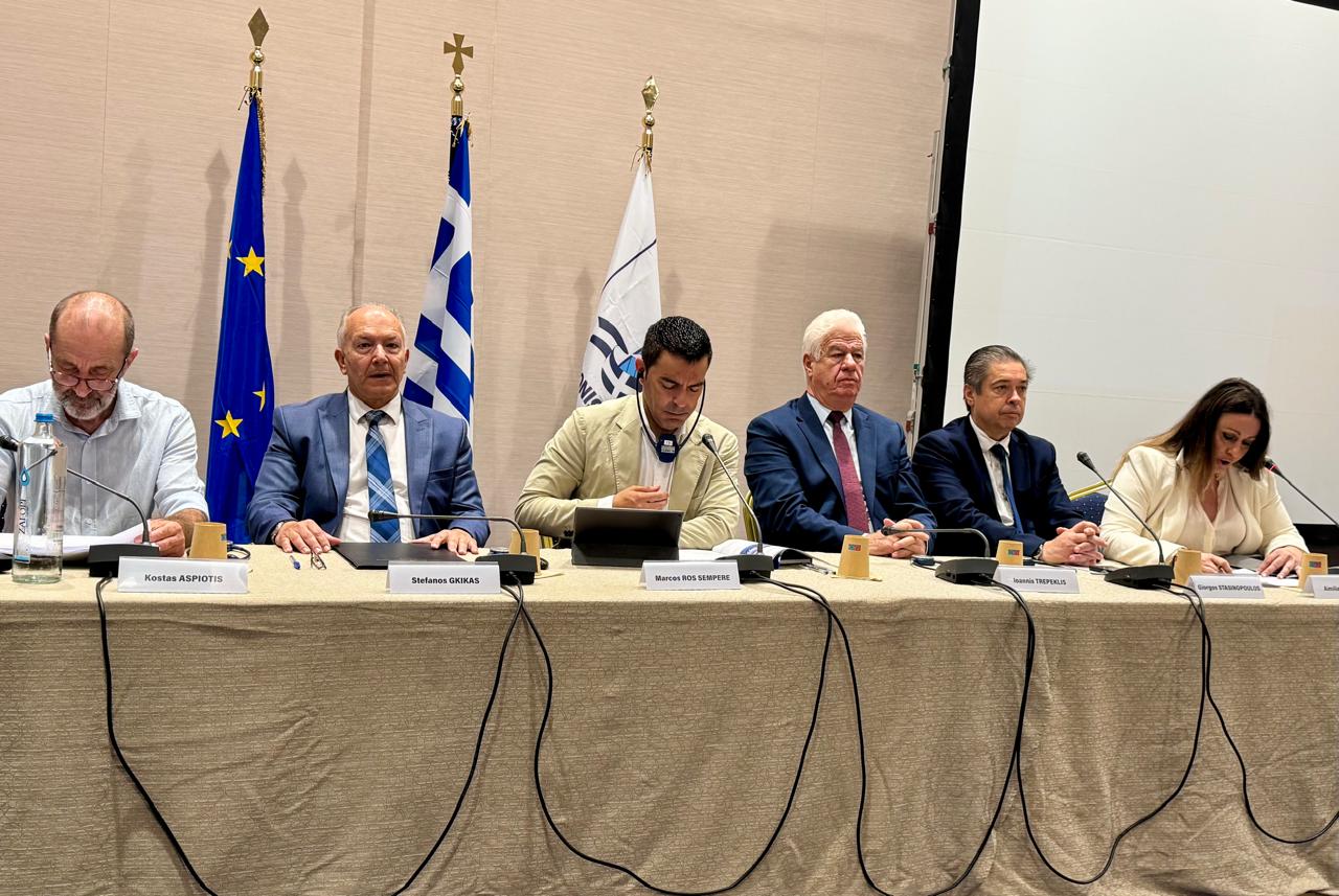 Στέφανος Γκίκας Επιτροπής Περιφερειακής Ανάπτυξης (REGI) 2