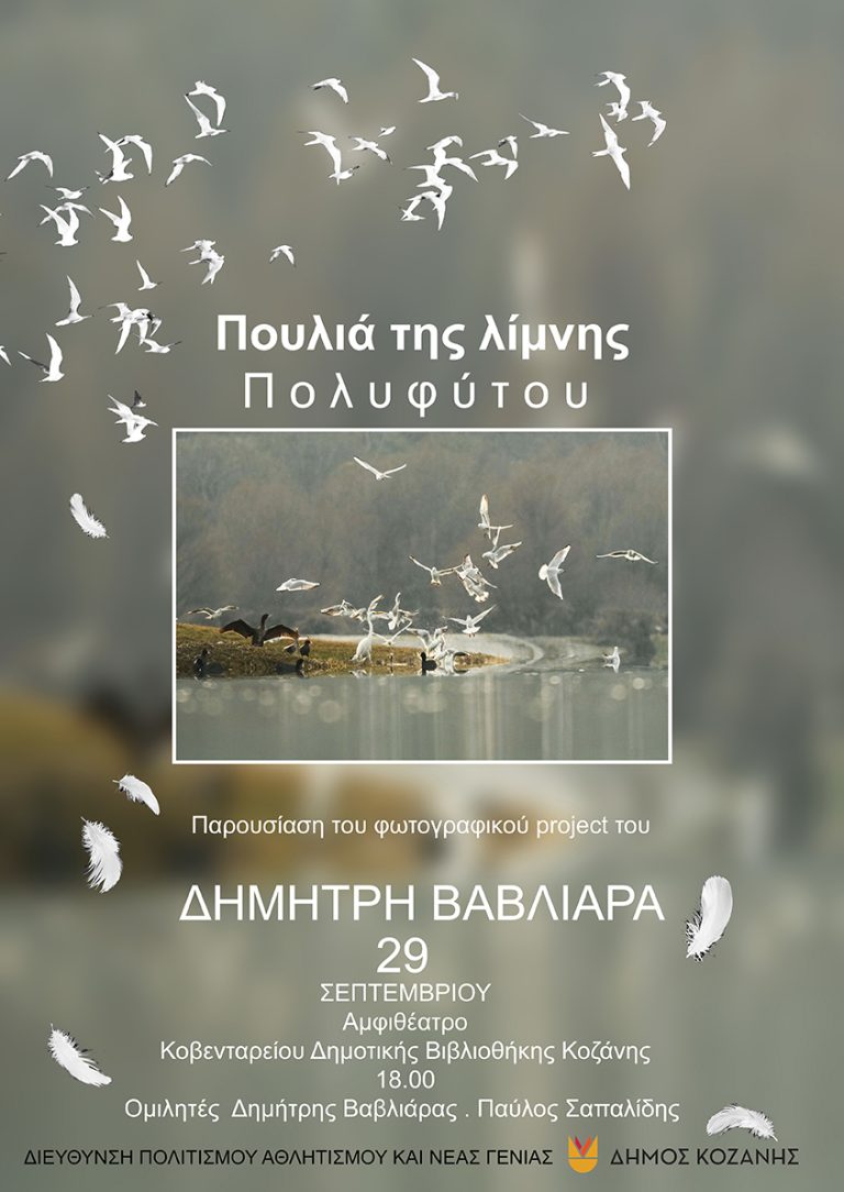 Ο Δημήτρης Βαβλιάρας, με τις φωτογραφίες του αποκαλύπτει τα σπάνια πουλιά της λίμνης Πολυφύτου Ο Δημήτρης Βαβλιάρας αποκαλύπτει τα πουλιά της Πολυφύτου