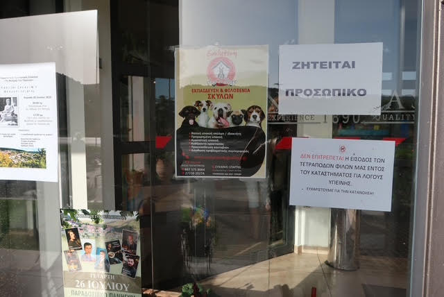 A storefront displayed a sign promoting an educational program for the care of dogs