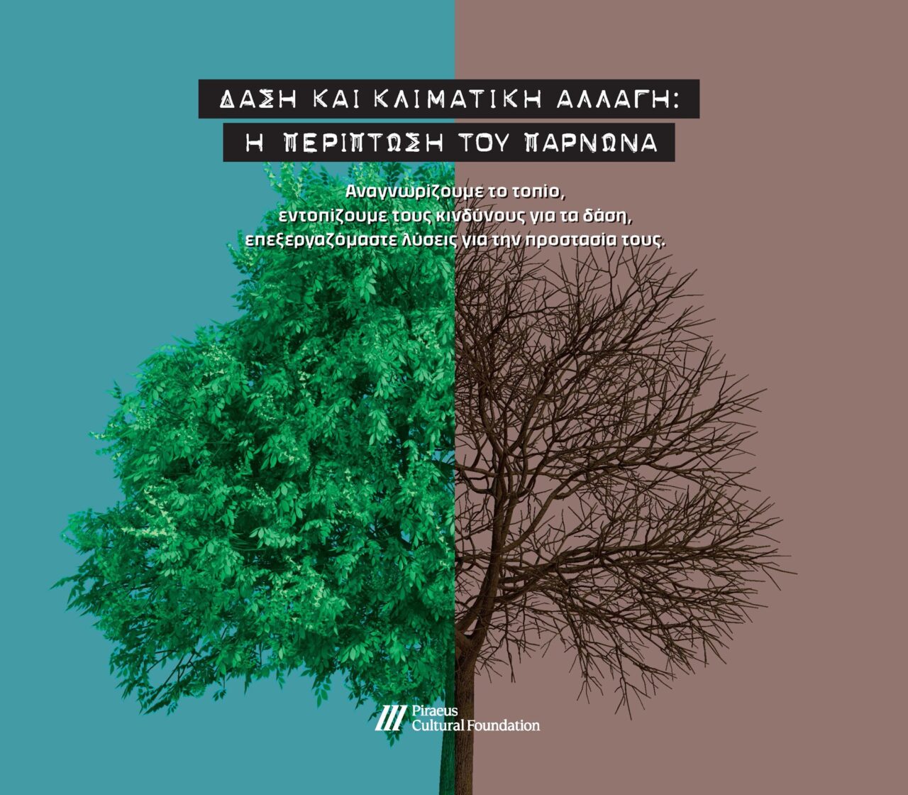 Δάση και κλιματική αλλαγή Η περίπτωση του Πάρνωνα_εξώφυλλο