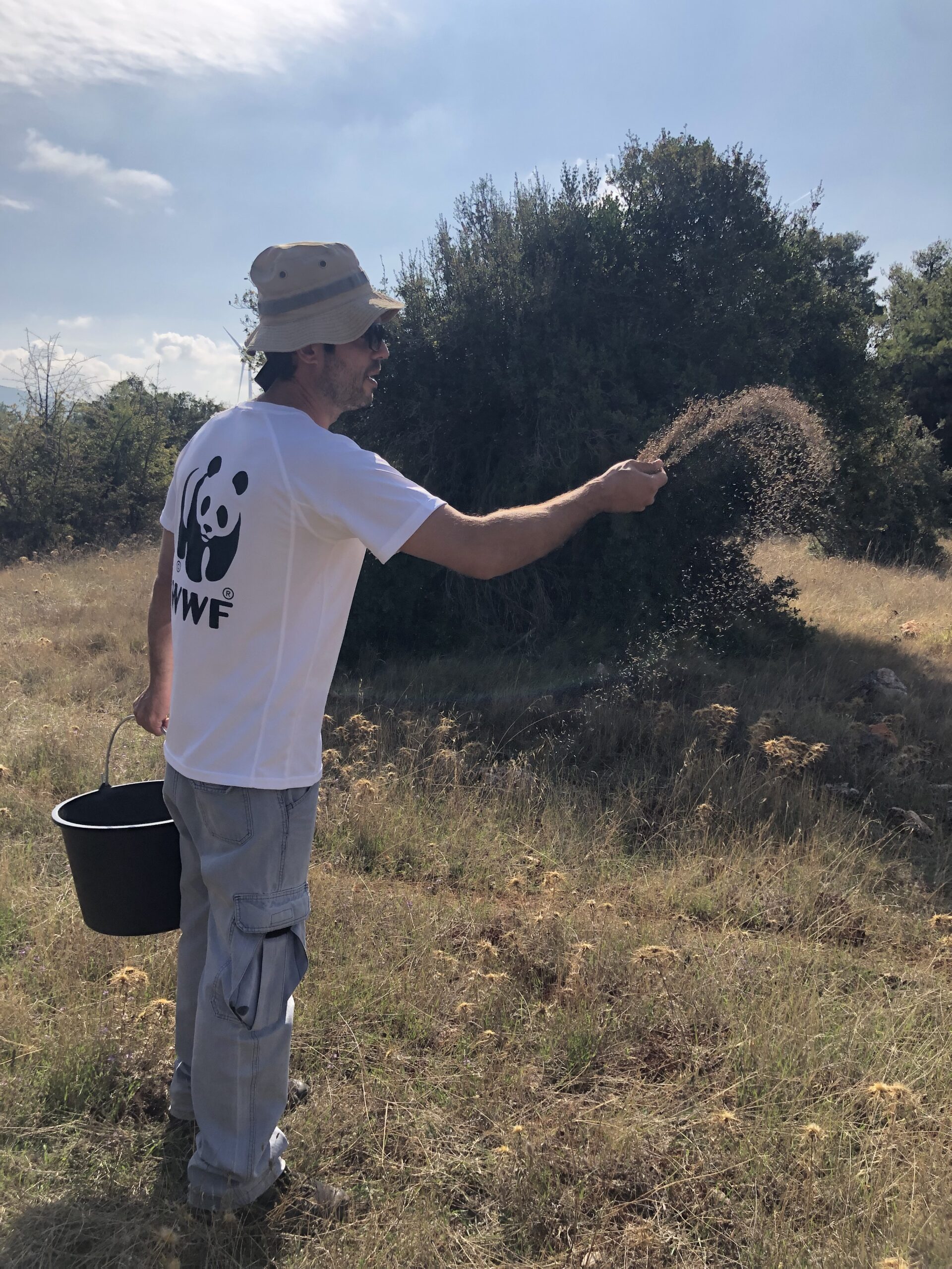 Οι οικολογικοί διάδρομοι ως μέσο προστασίας της άγριας ζωής