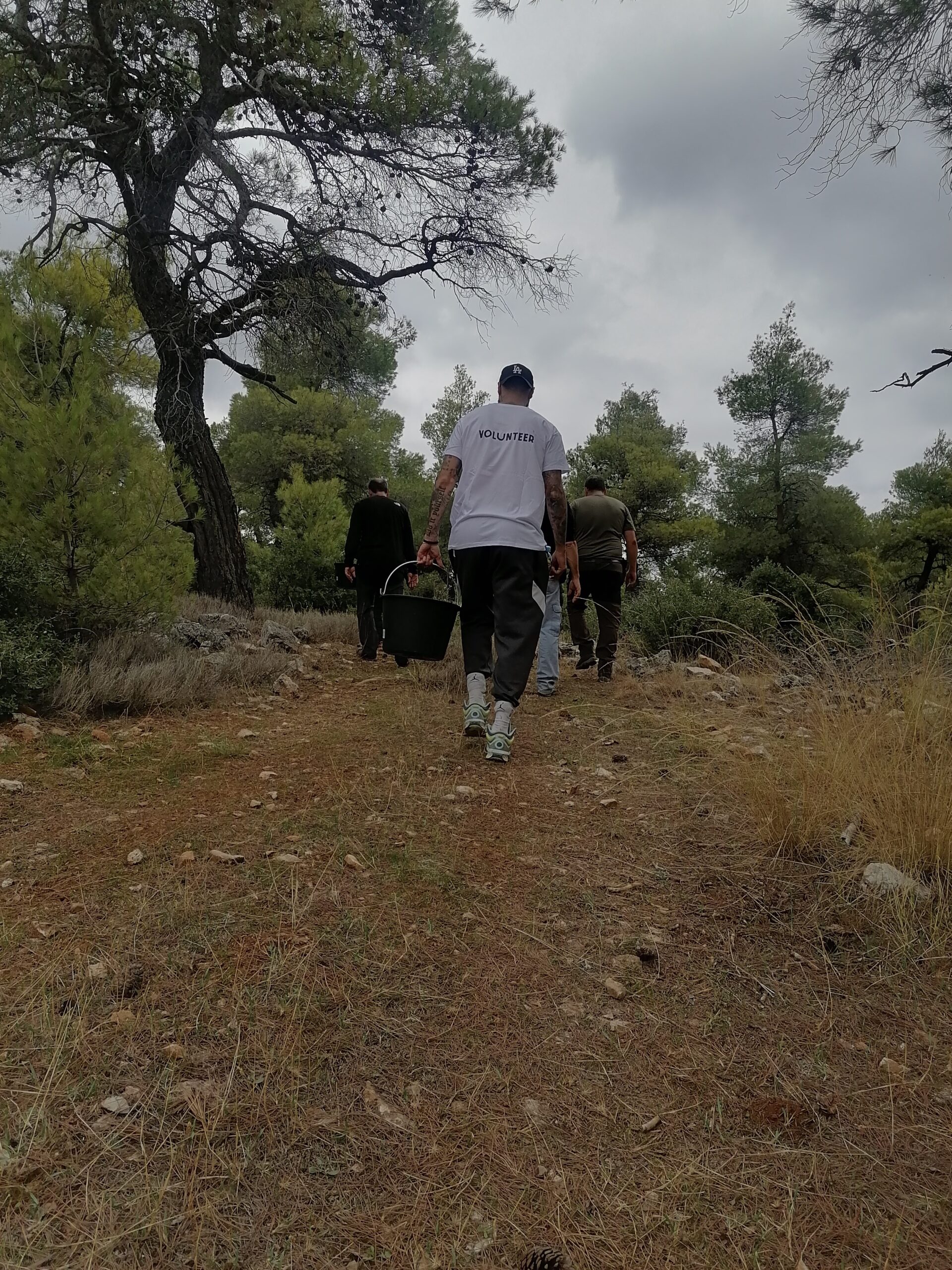 Οι οικολογικοί διάδρομοι ως μέσο προστασίας της άγριας ζωής