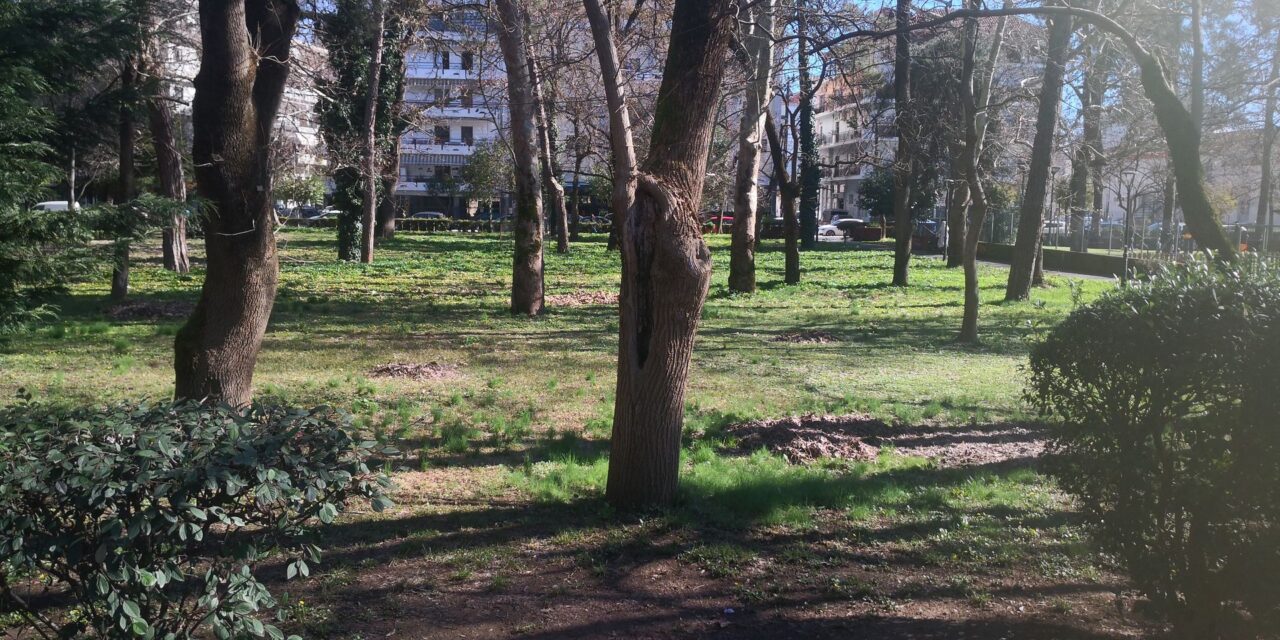 Καρδίτσα: Ένα πάρκο 50 στρεμμάτων στην καρδιά της πόλης, το Παυσίλυπο, σχεδιάστηκε το 1901 και αποτελεί το ισχυρότερο τοπόσημο της πόλης Καρδίτσα: Ένα πάρκο 50 στρεμμάτων στην καρδιά της πόλης