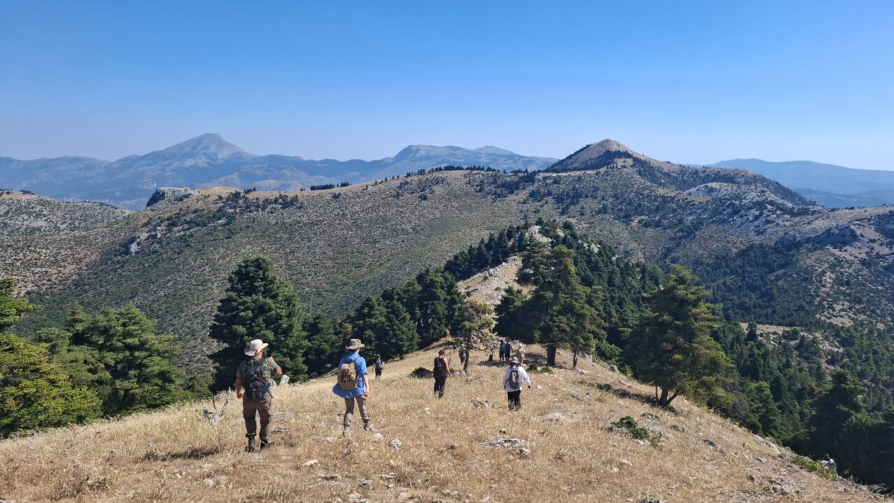 Επιφανειακή έρευνα μεταξύ Ερέτριας και Αμαρύνθου