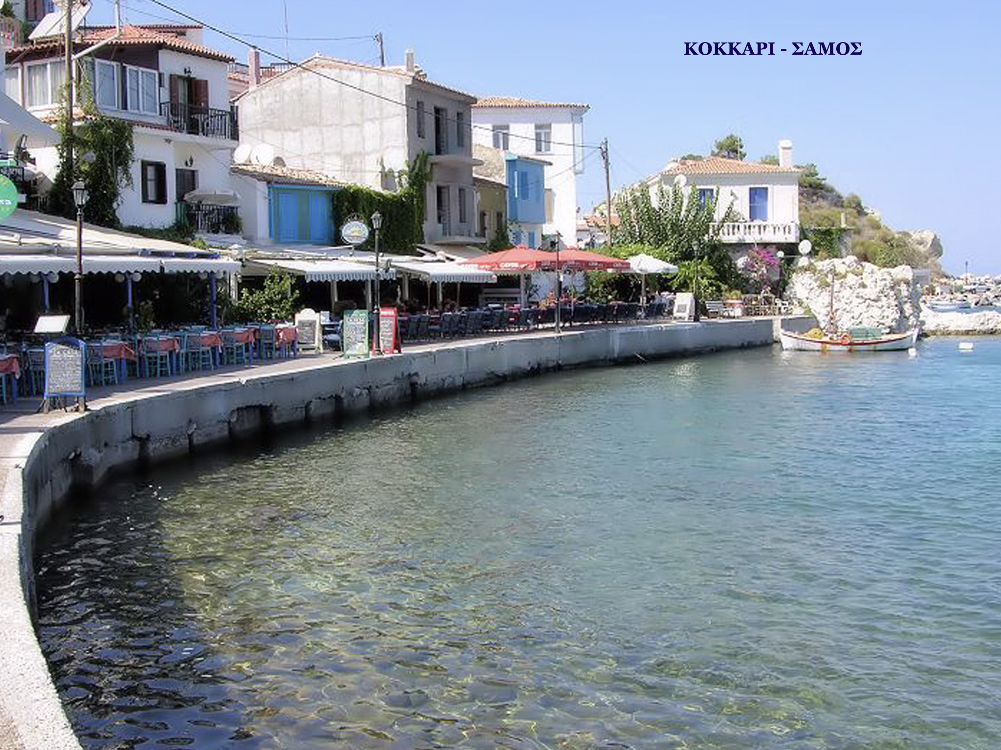 ΚΟΚΚΑΡΙ ΣΑΜΟΣ
