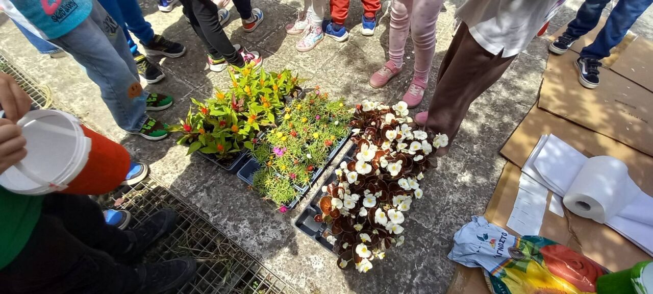Νήπια σε ρόλο κηπουρού στην Καλαμαριά Νήπια σε ρόλο κηπουρού στην Καλαμαριά