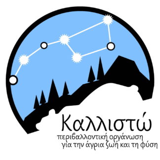 Πλήρη και συνεπή εφαρμογή του Εθνικού Σχεδίου Δράσης για την Αρκούδα ζητά η «Καλλιστώ», με αφορμή τις τρεις νεκρές αρκούδες στη Δ. Μακεδονία Εφαρμογή Εθνικού Σχεδίου Δράσης για την Αρκούδα ζητά η «Καλλιστώ»