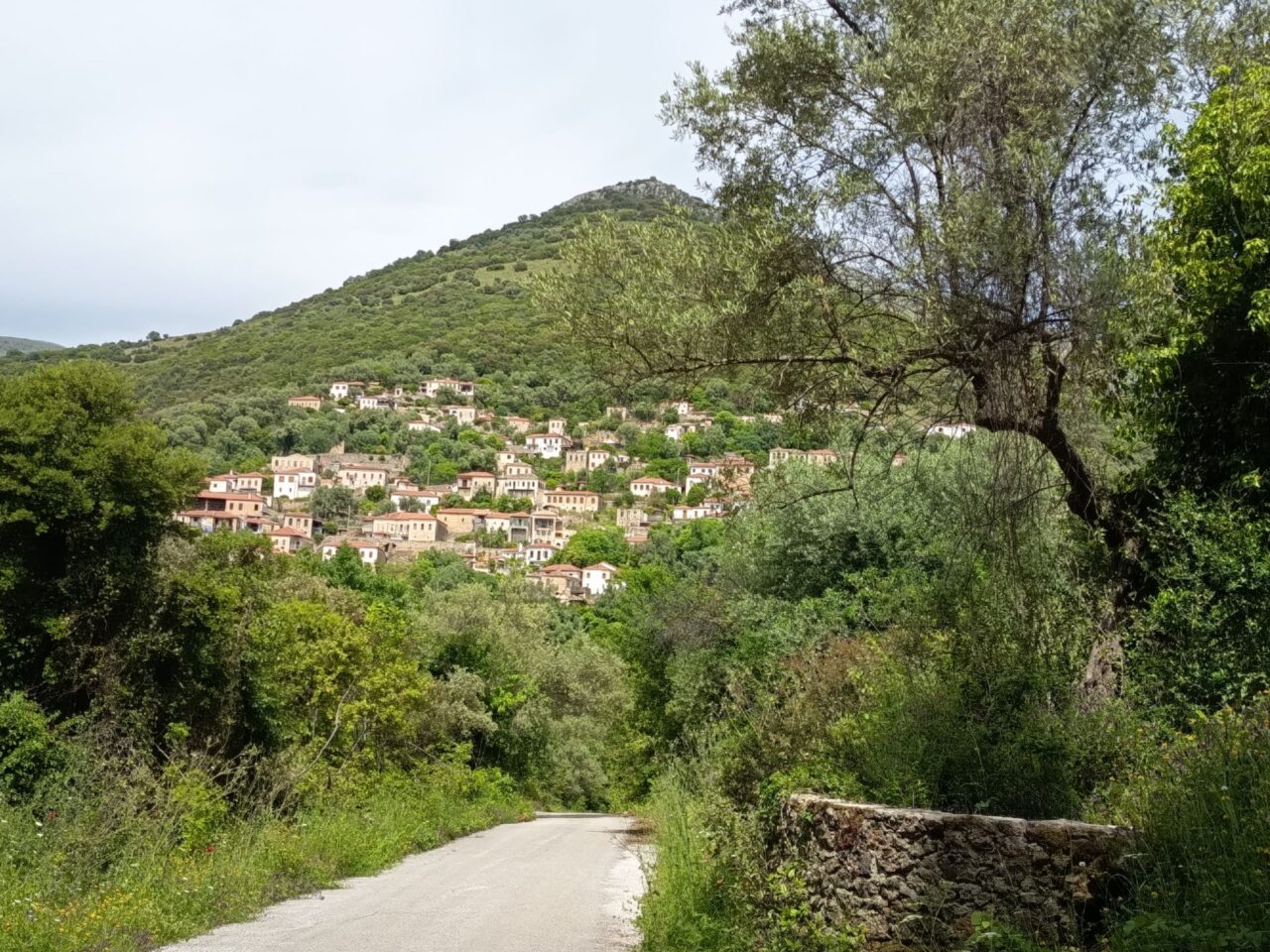 Φοινίκι ο παραδοσιακός ακριτικός οικισμός με την ιδιαίτερη φυσιογνωμία