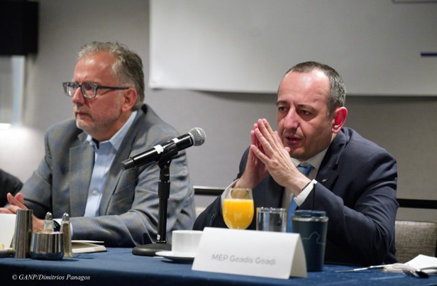 MEP Geadis Geadi addresses the panel