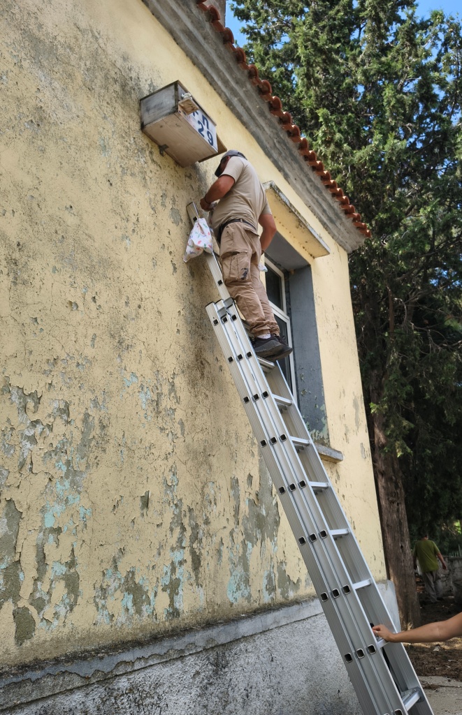 Έλεγχος τεχνητής φωλιάς / Ευτέρπη Πατετσίνη