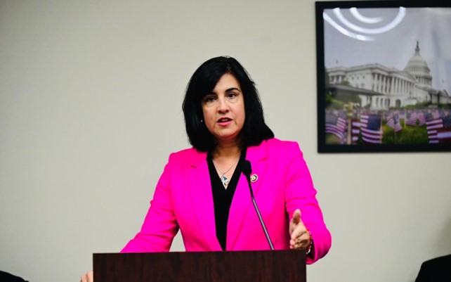 Rep. Malliotakis addresses the group